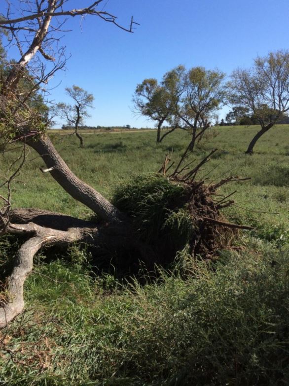 September 19th, 2017 Severe Weather Summary
